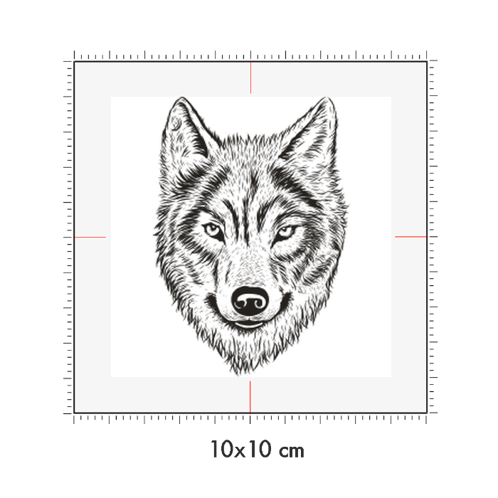 10 x 10 cm