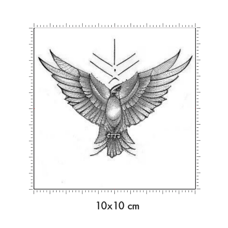 10 x 10 cm