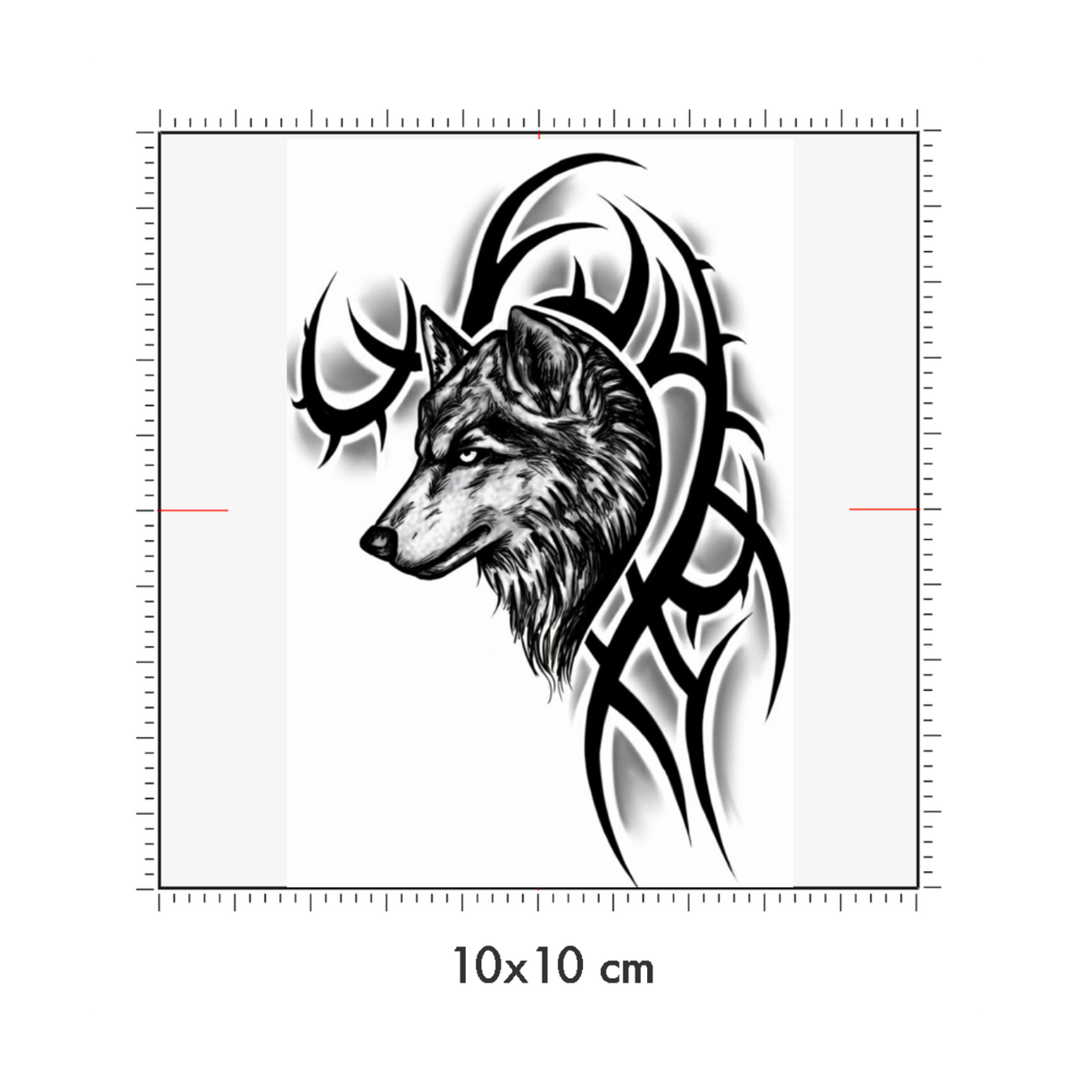 10 x 10 cm