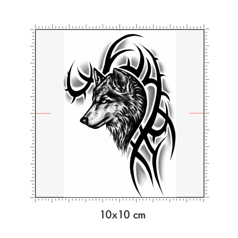 10 x 10 cm