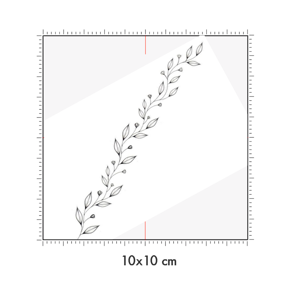 10 x 10 cm