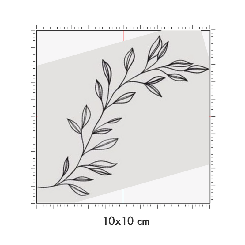 10 x 10 cm