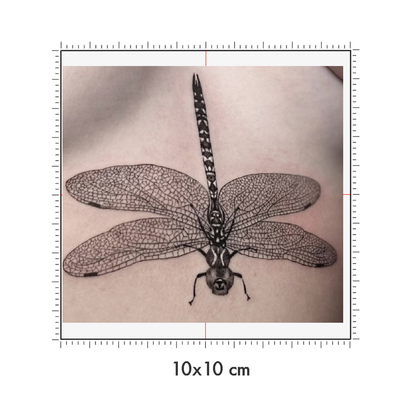 10 x 10 cm