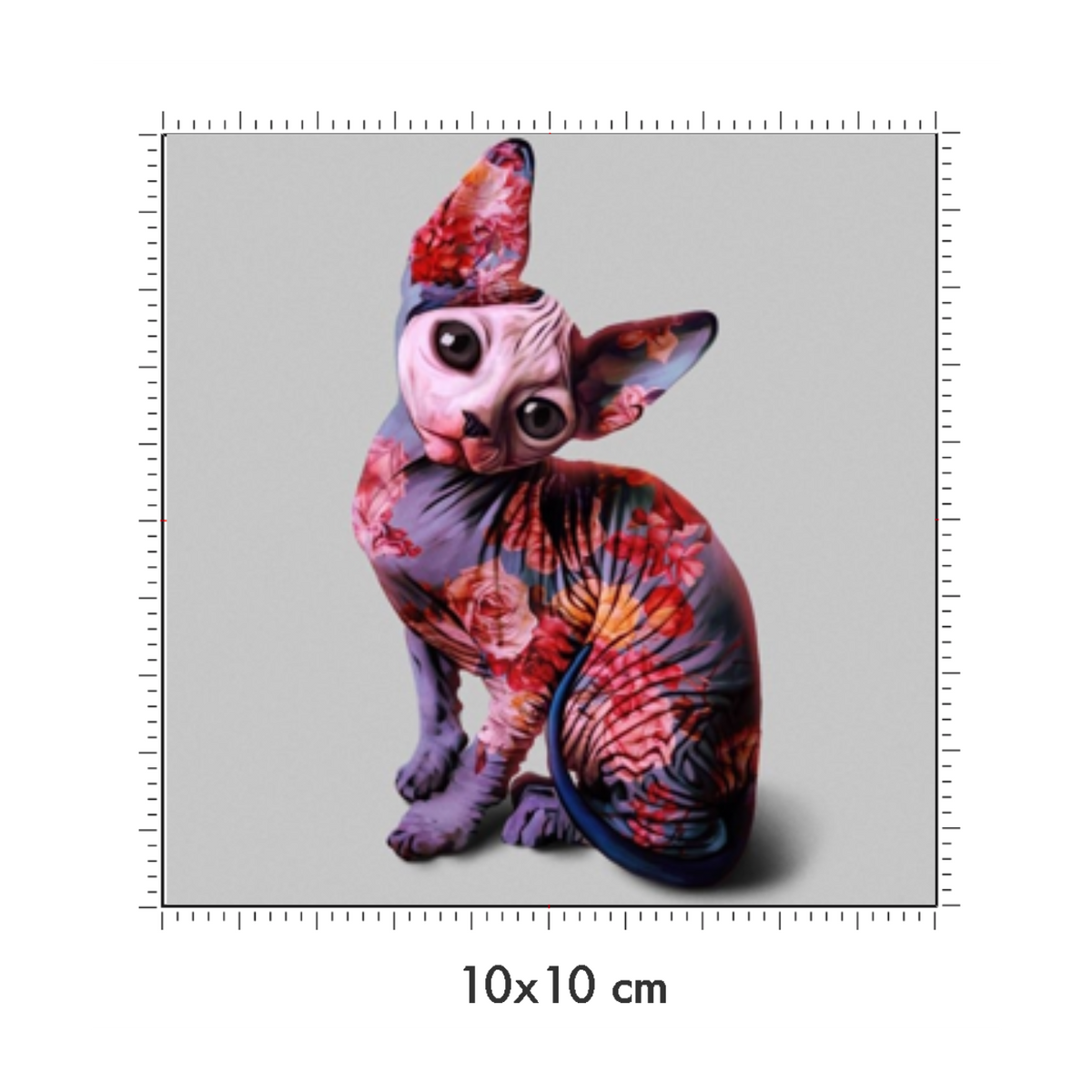 10 x 10 cm
