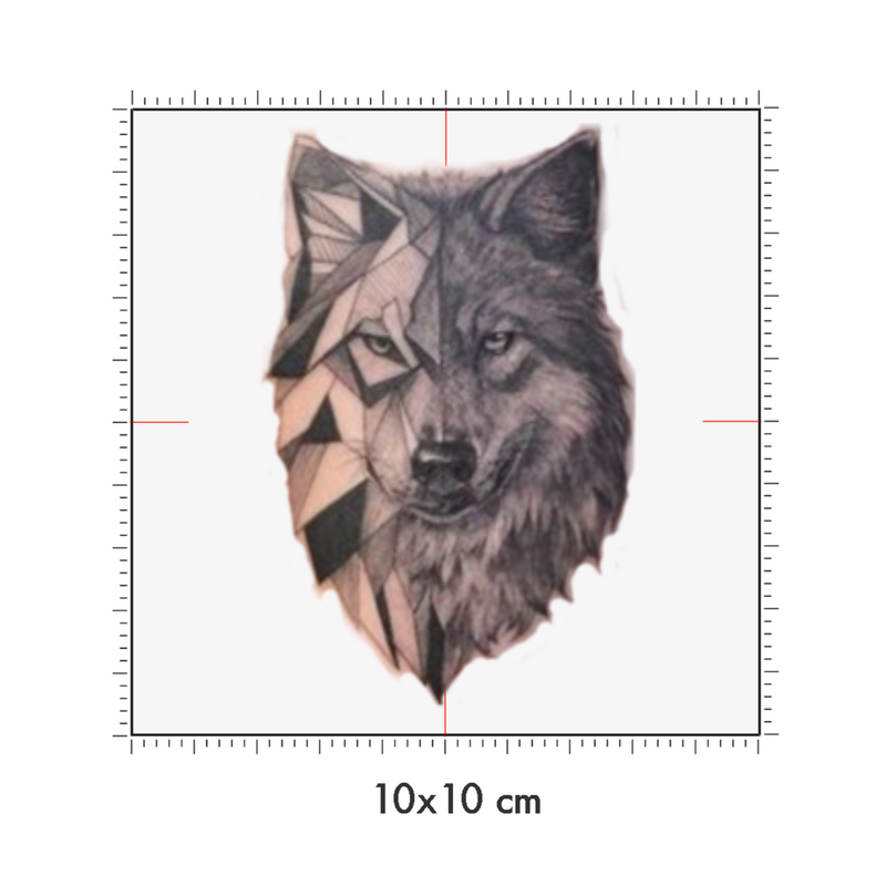 10 x 10 cm