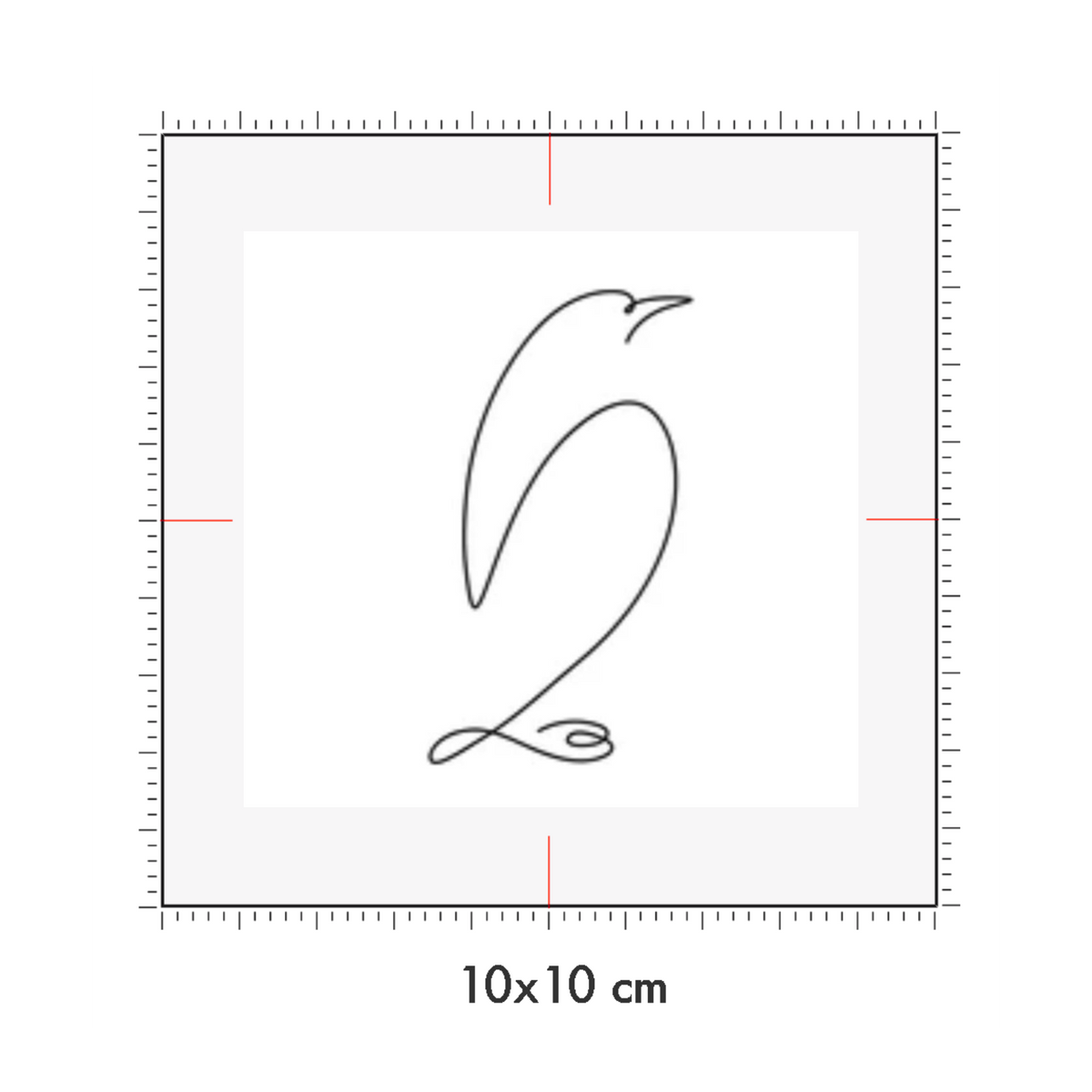 10 x 10 cm