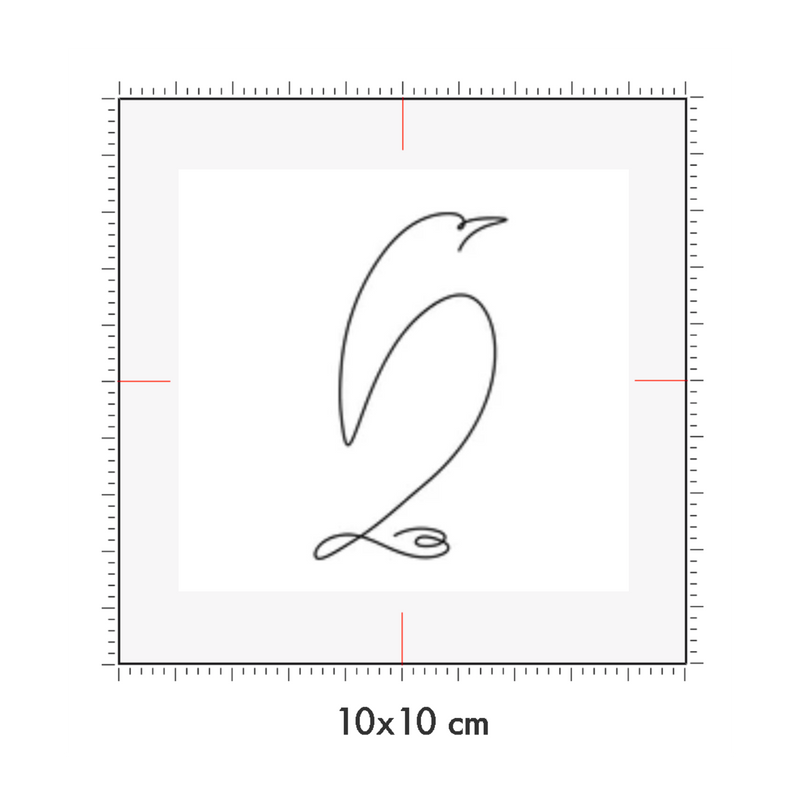 10 x 10 cm