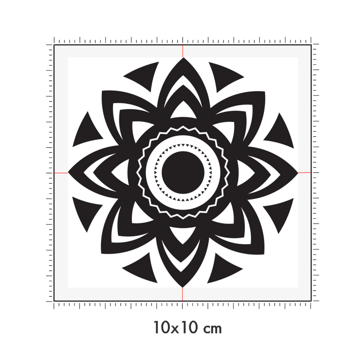 10 x 10 cm