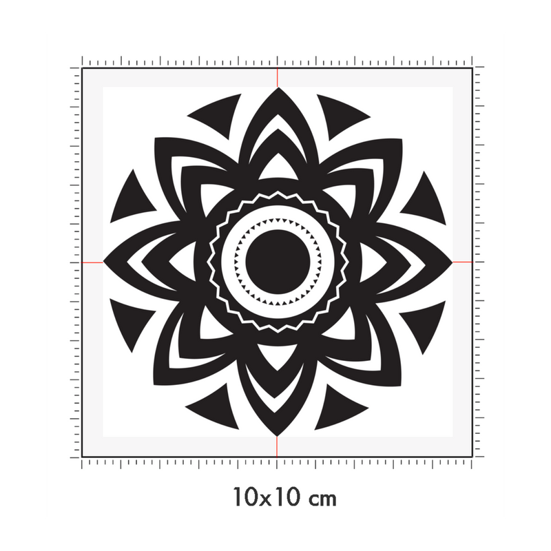 10 x 10 cm