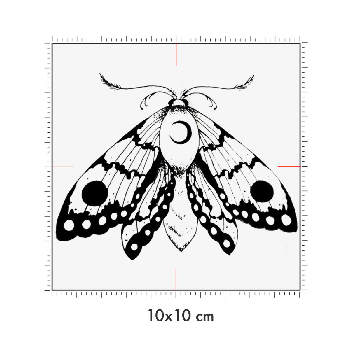 10 x 10 cm