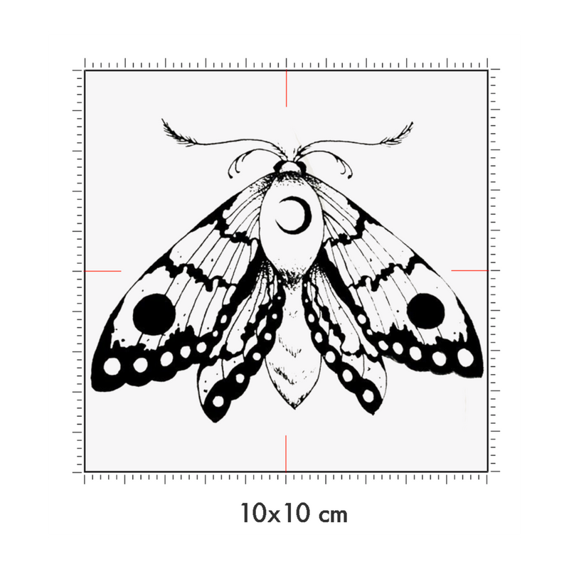 10 x 10 cm