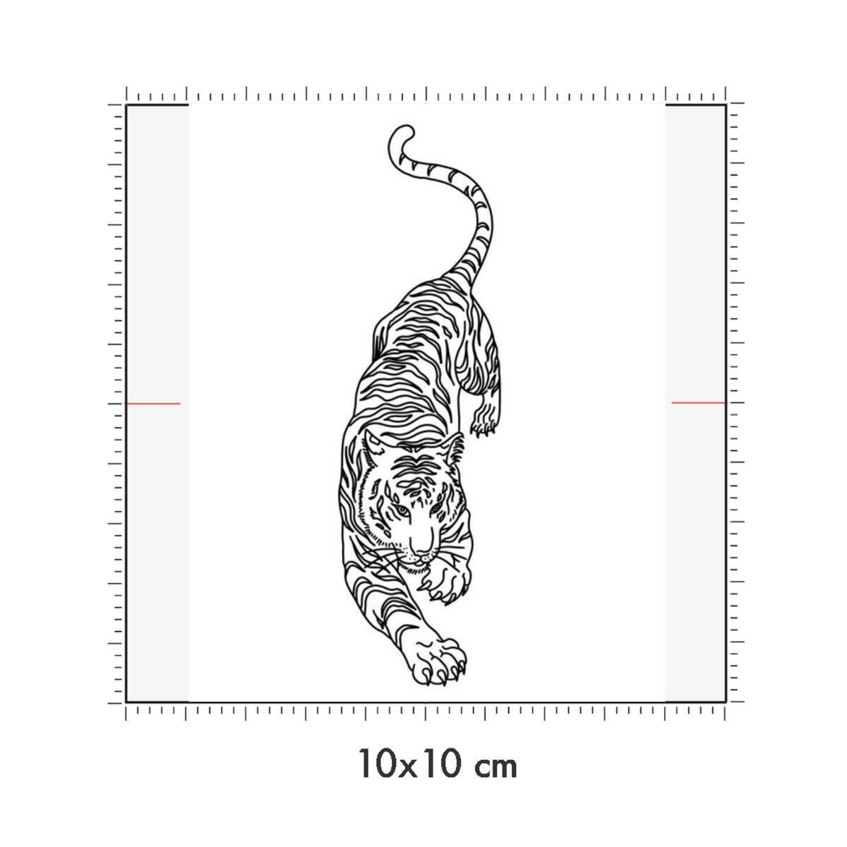 10 x 10 cm