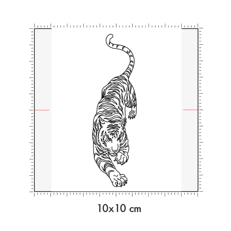 10 x 10 cm