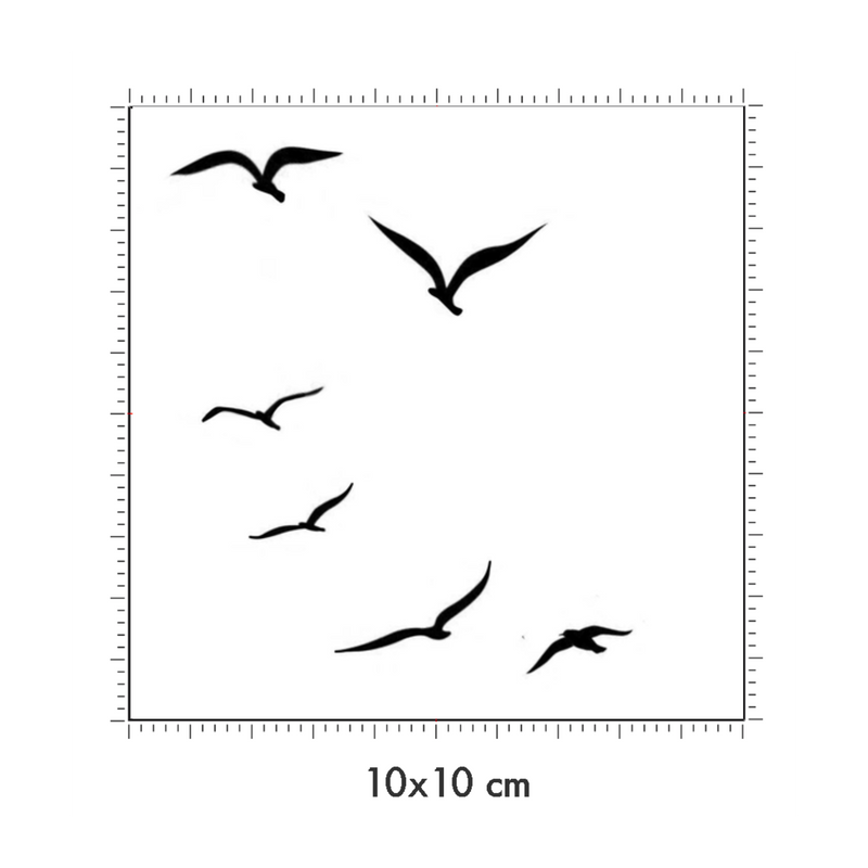 10 x 10 cm