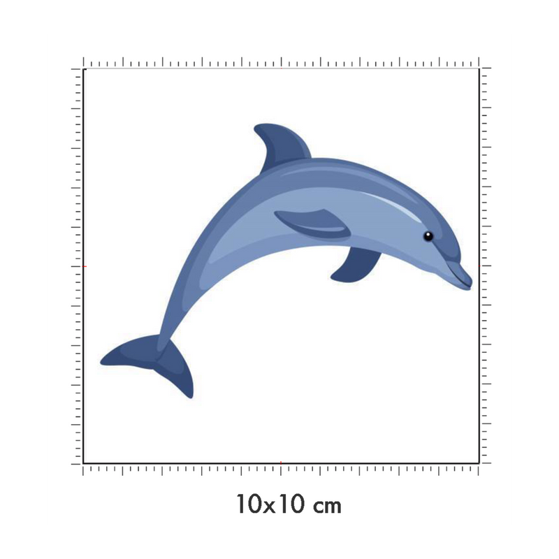 10 x 10 cm