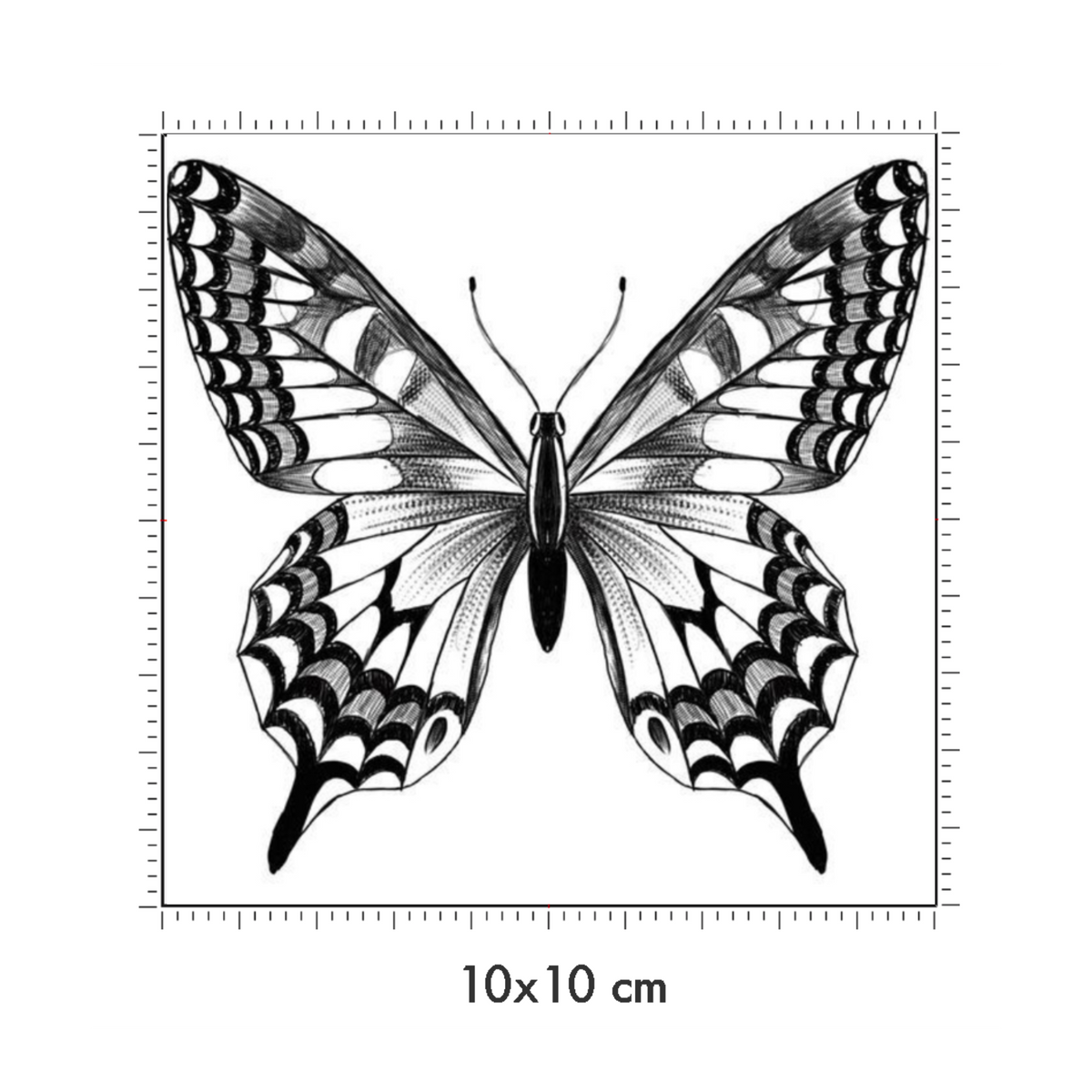 10 x 10 cm