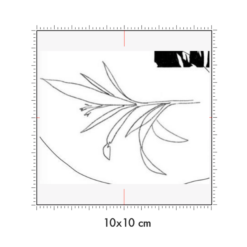 10 x 10 cm