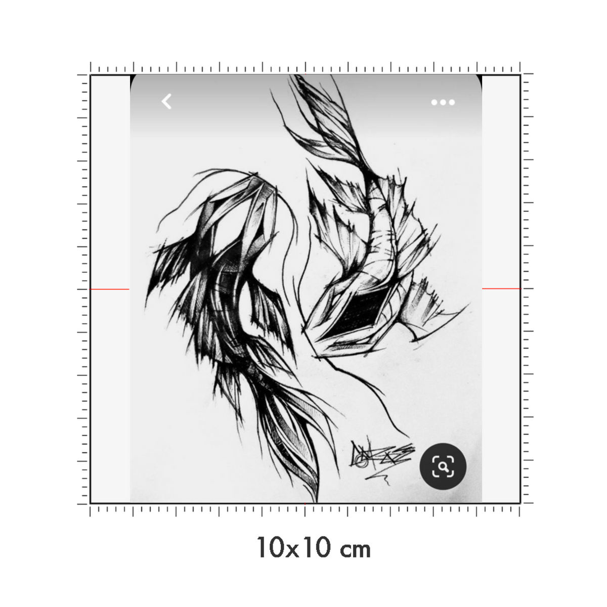 10 x 10 cm