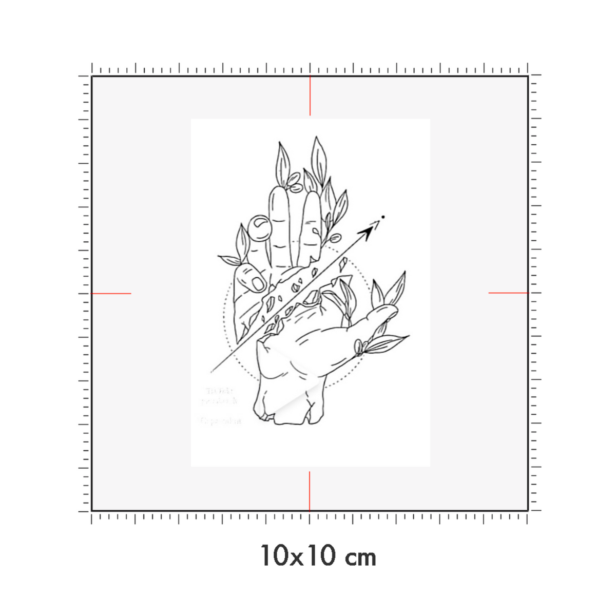 10 x 10 cm