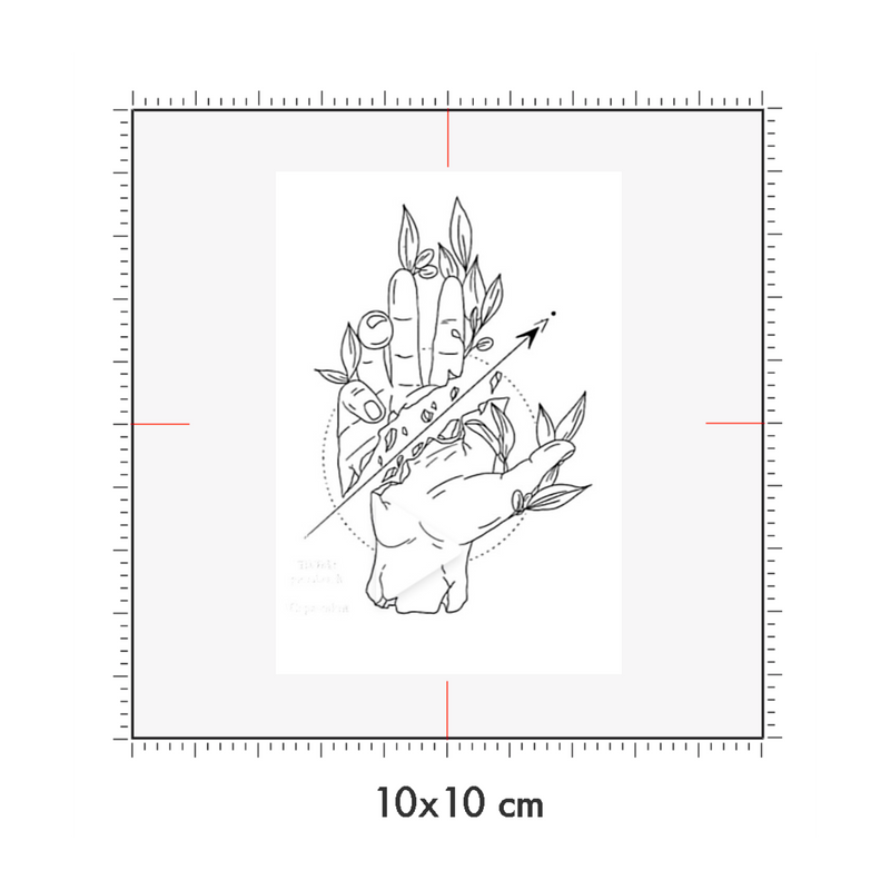 10 x 10 cm