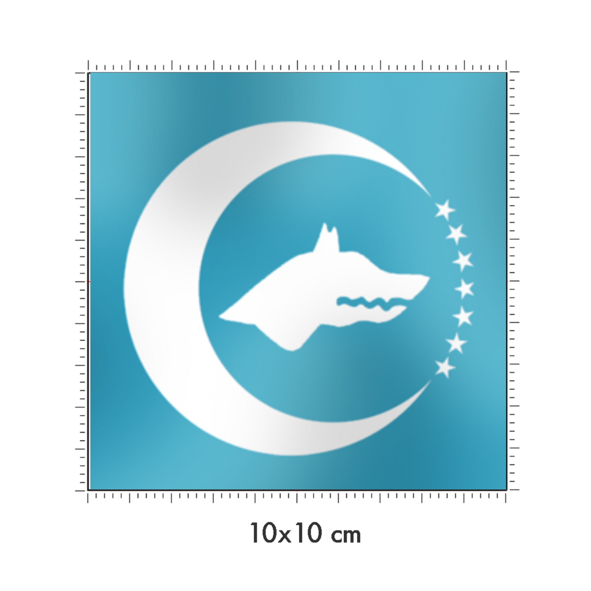 10 x 10 cm