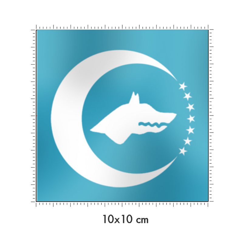 10 x 10 cm