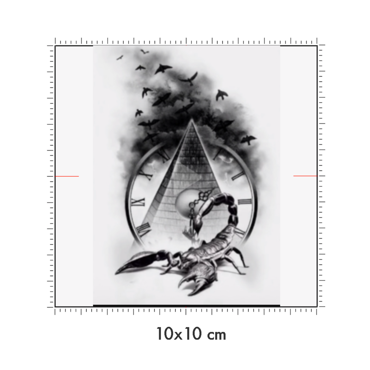 10 x 10 cm