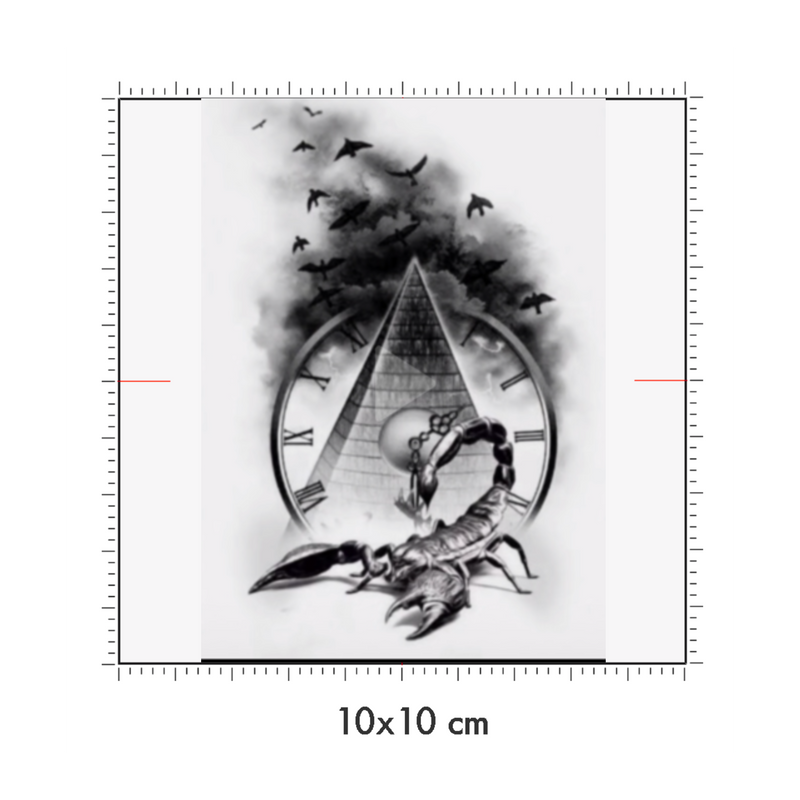 10 x 10 cm