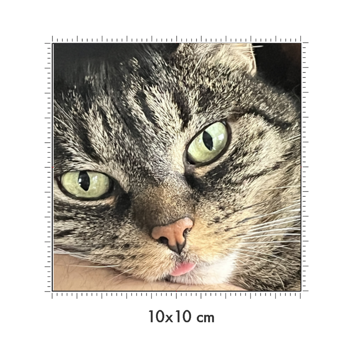 10 x 10 cm