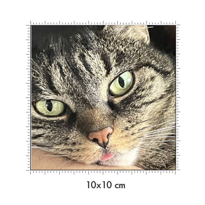 10 x 10 cm