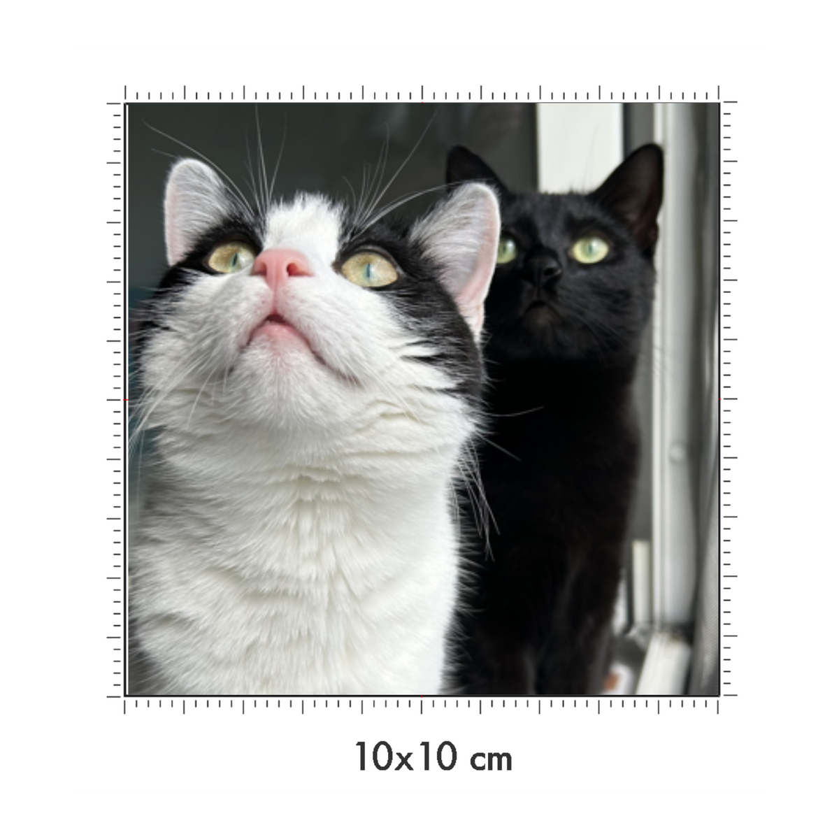 10 x 10 cm