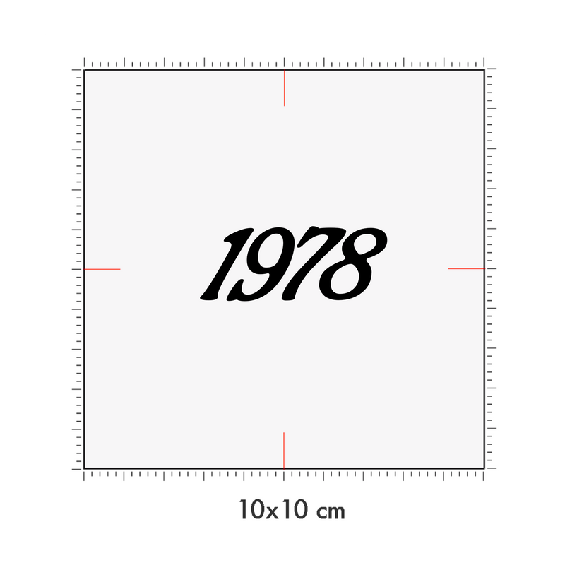 10 x 10 cm