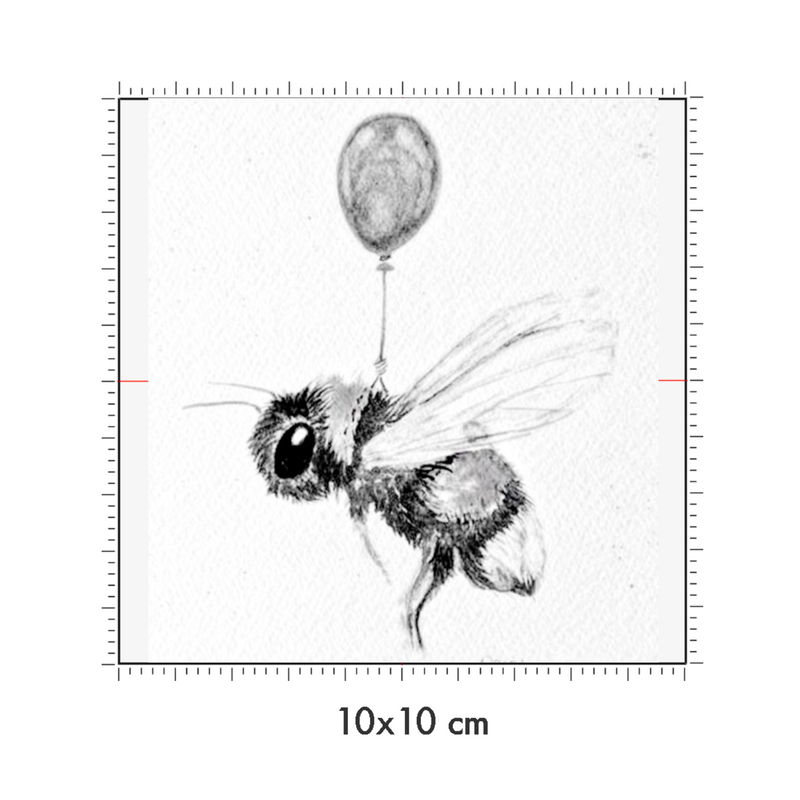 10 x 10 cm
