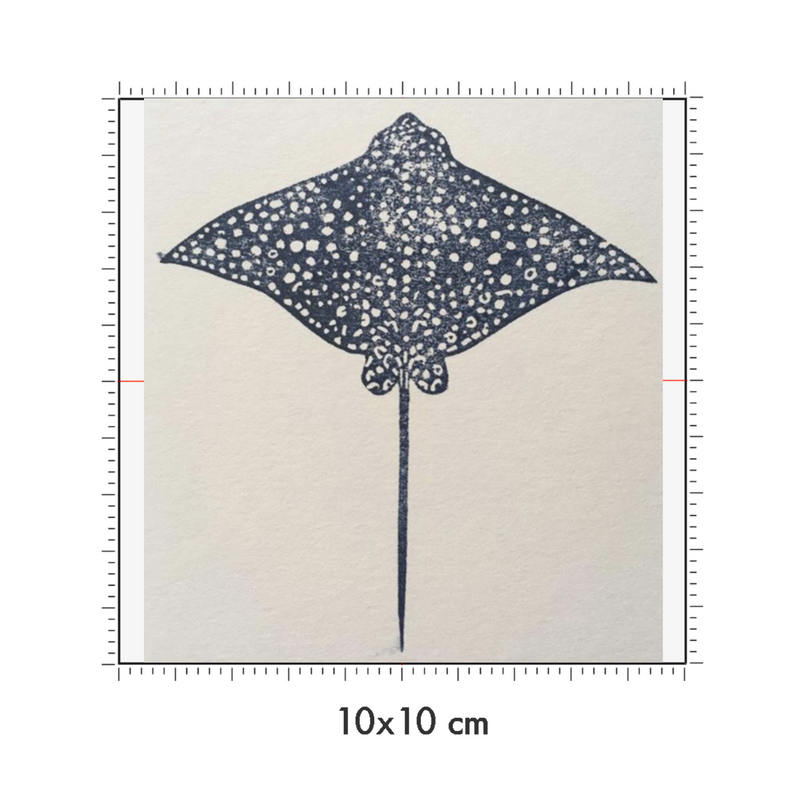10 x 10 cm