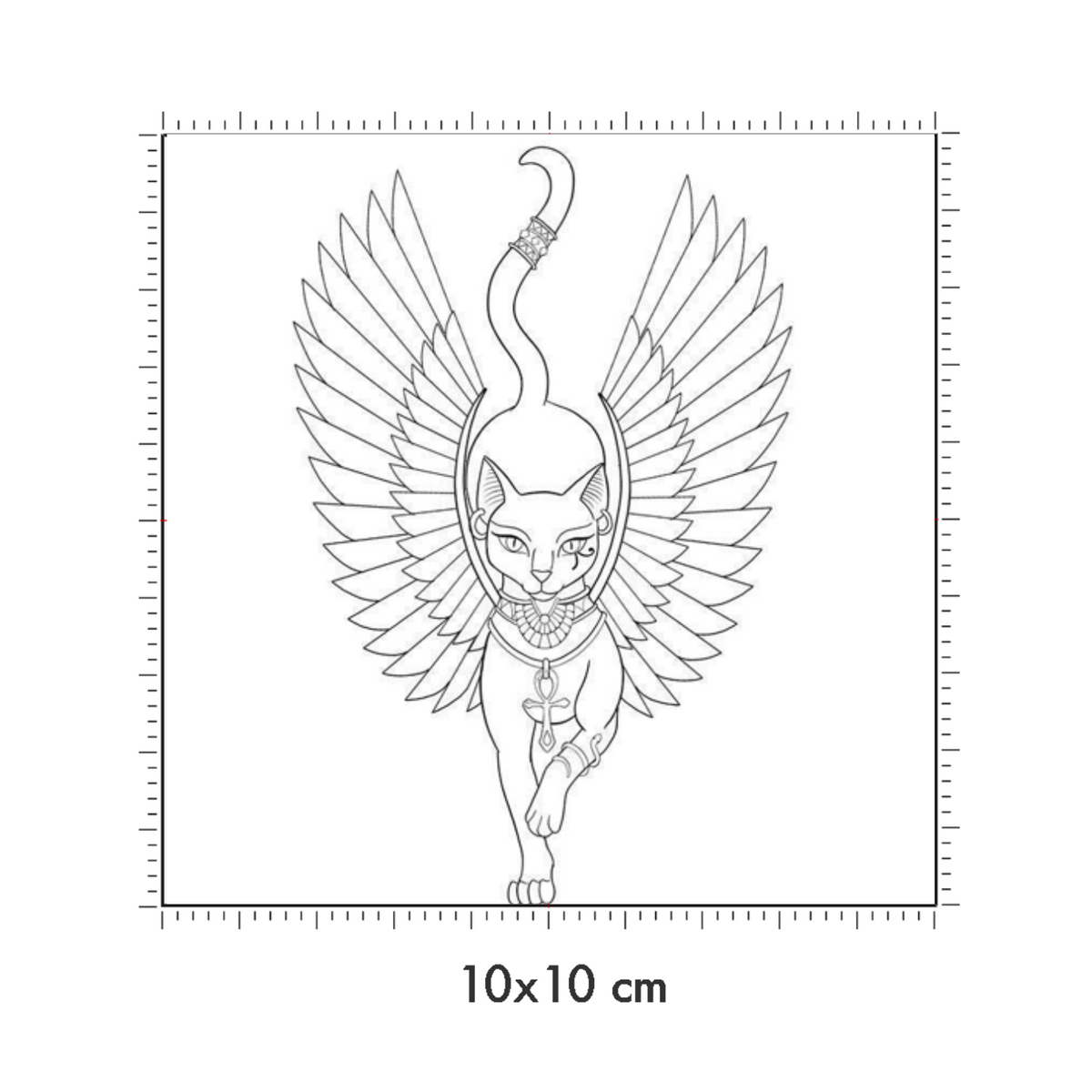 10 x 10 cm