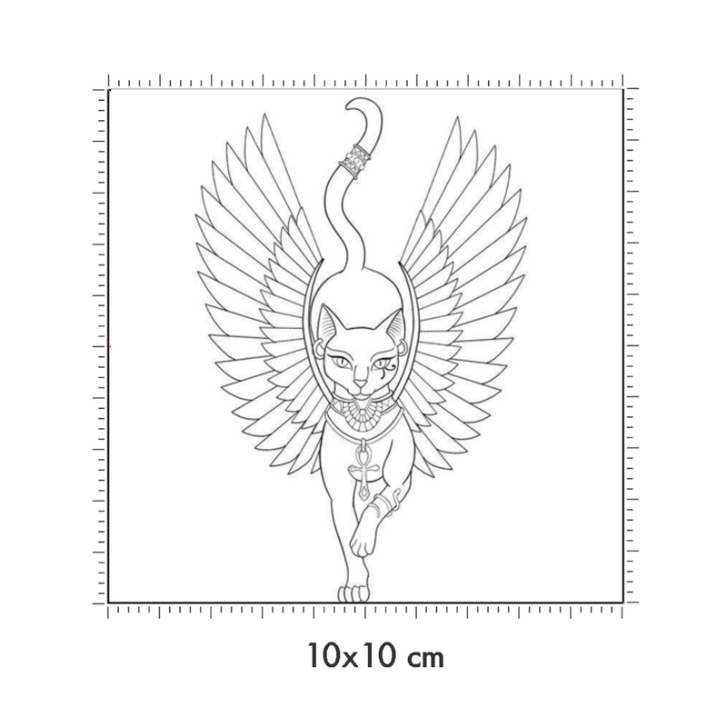 10 x 10 cm
