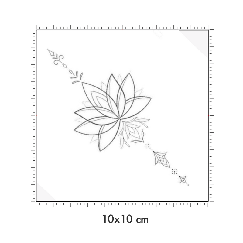 10 x 10 cm