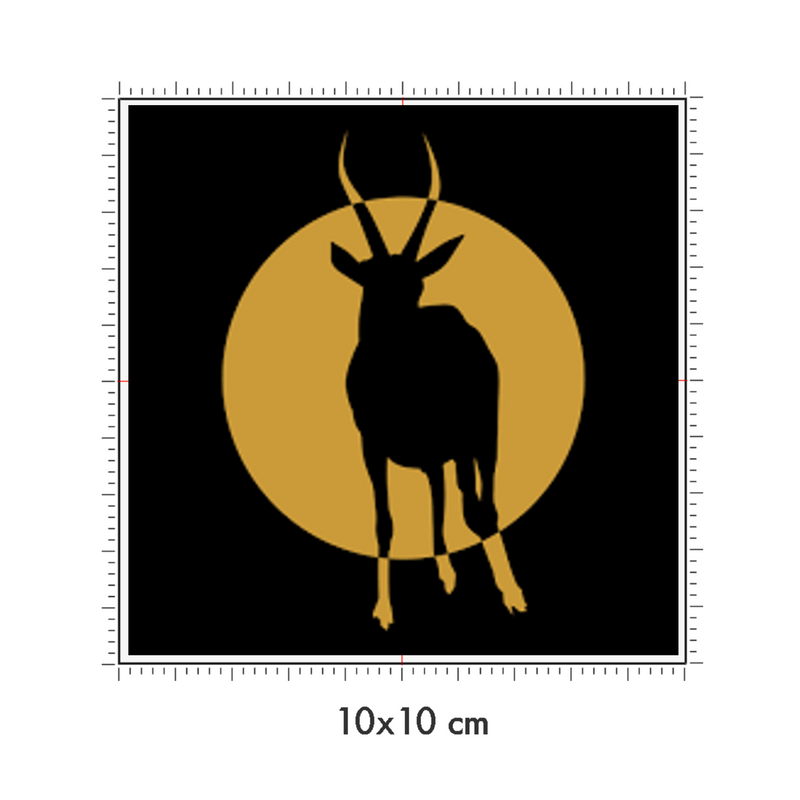 10 x 10 cm