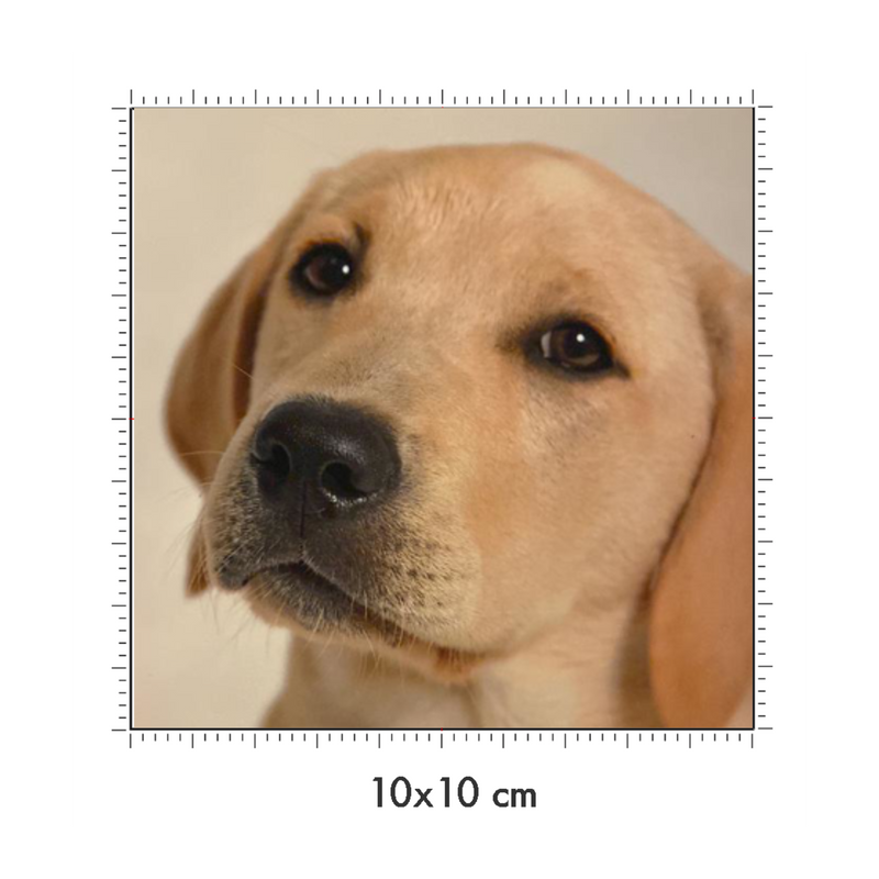 10 x 10 cm
