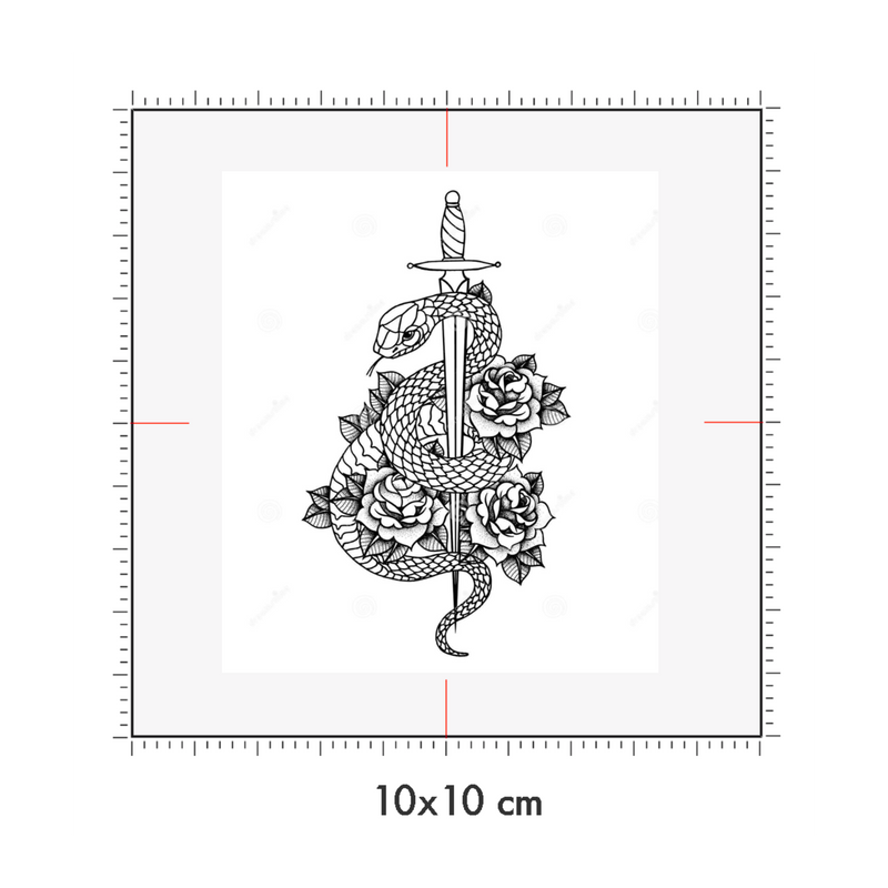 10 x 10 cm