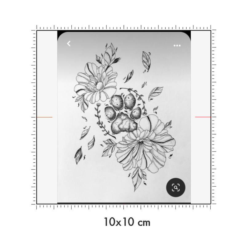 10 x 10 cm