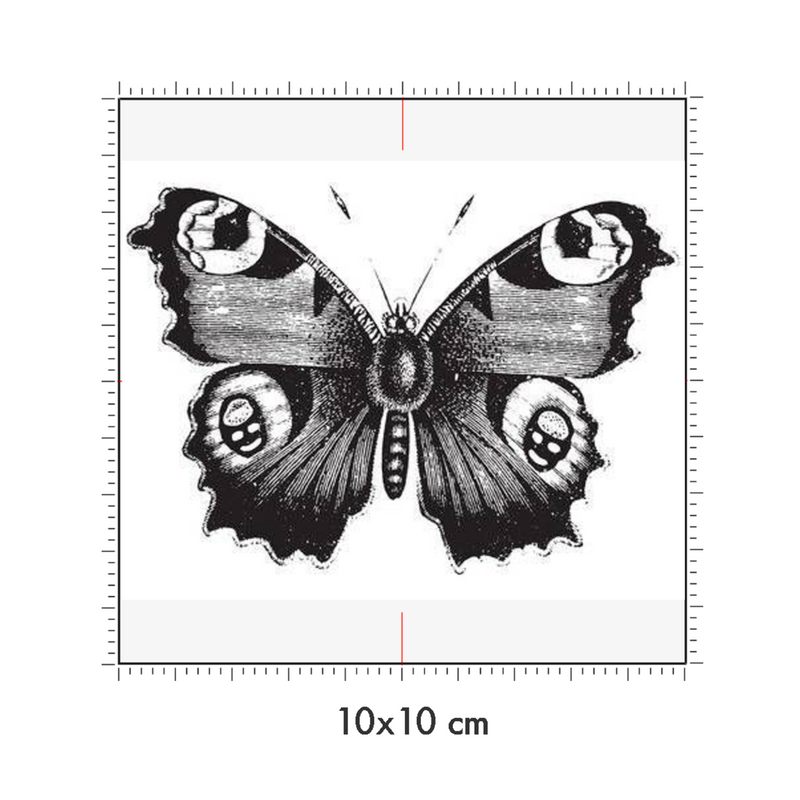10 x 10 cm