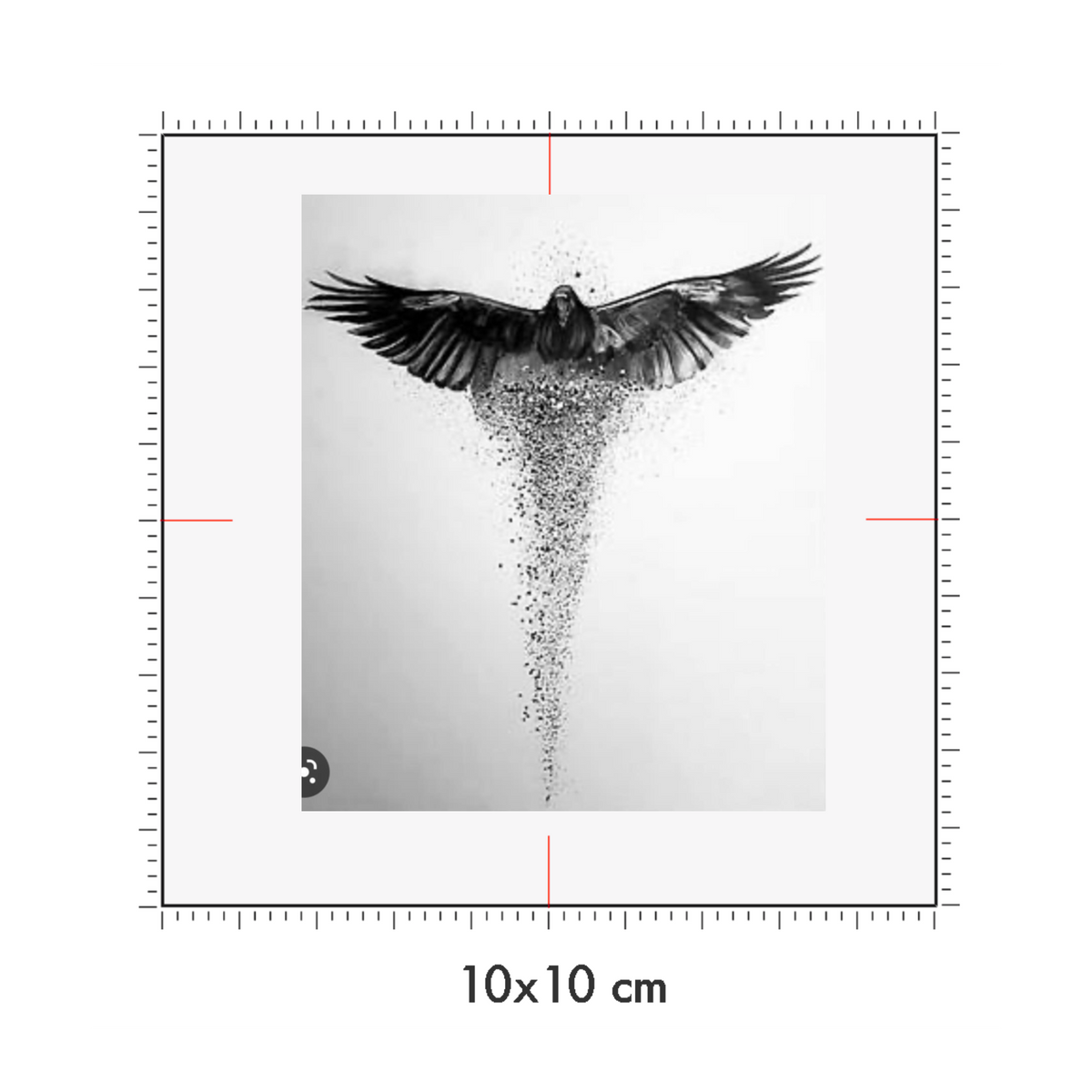 10 x 10 cm