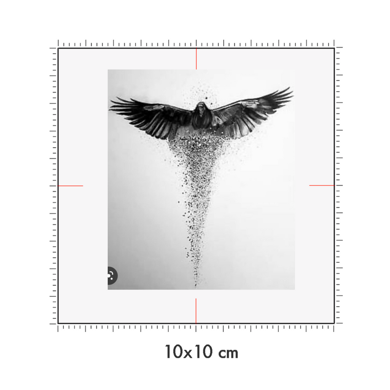10 x 10 cm