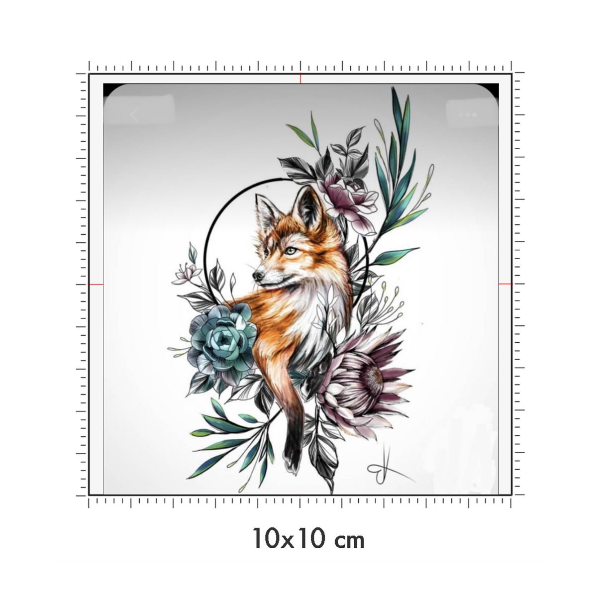 10 x 10 cm
