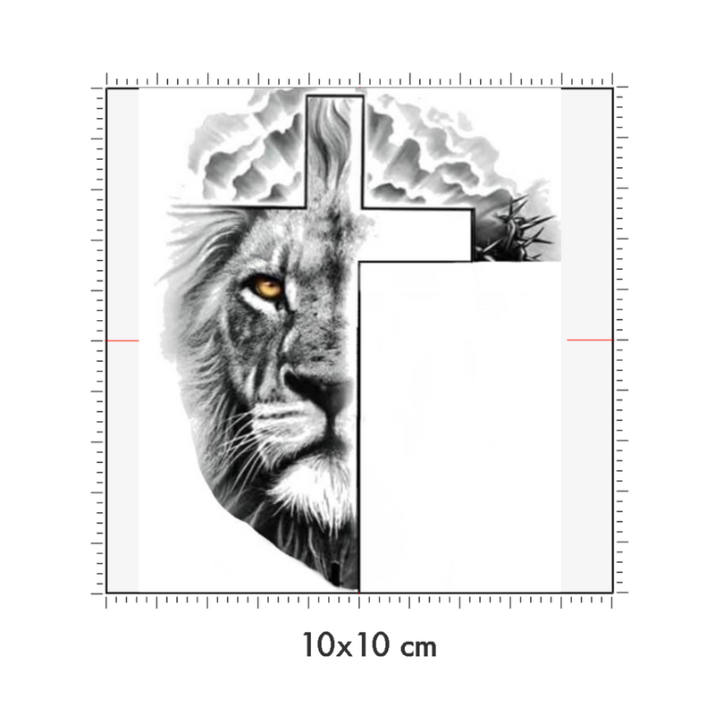 10 x 10 cm