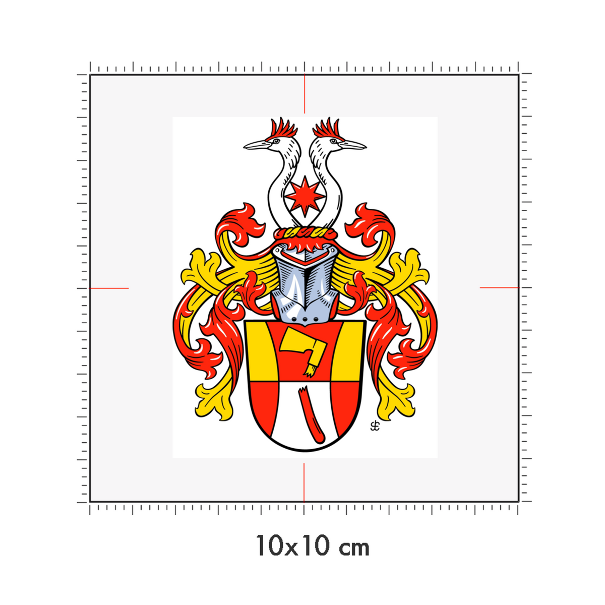 10 x 10 cm