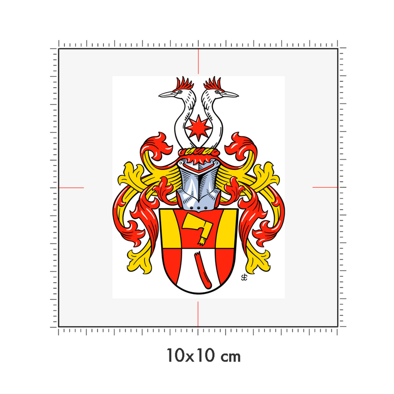10 x 10 cm