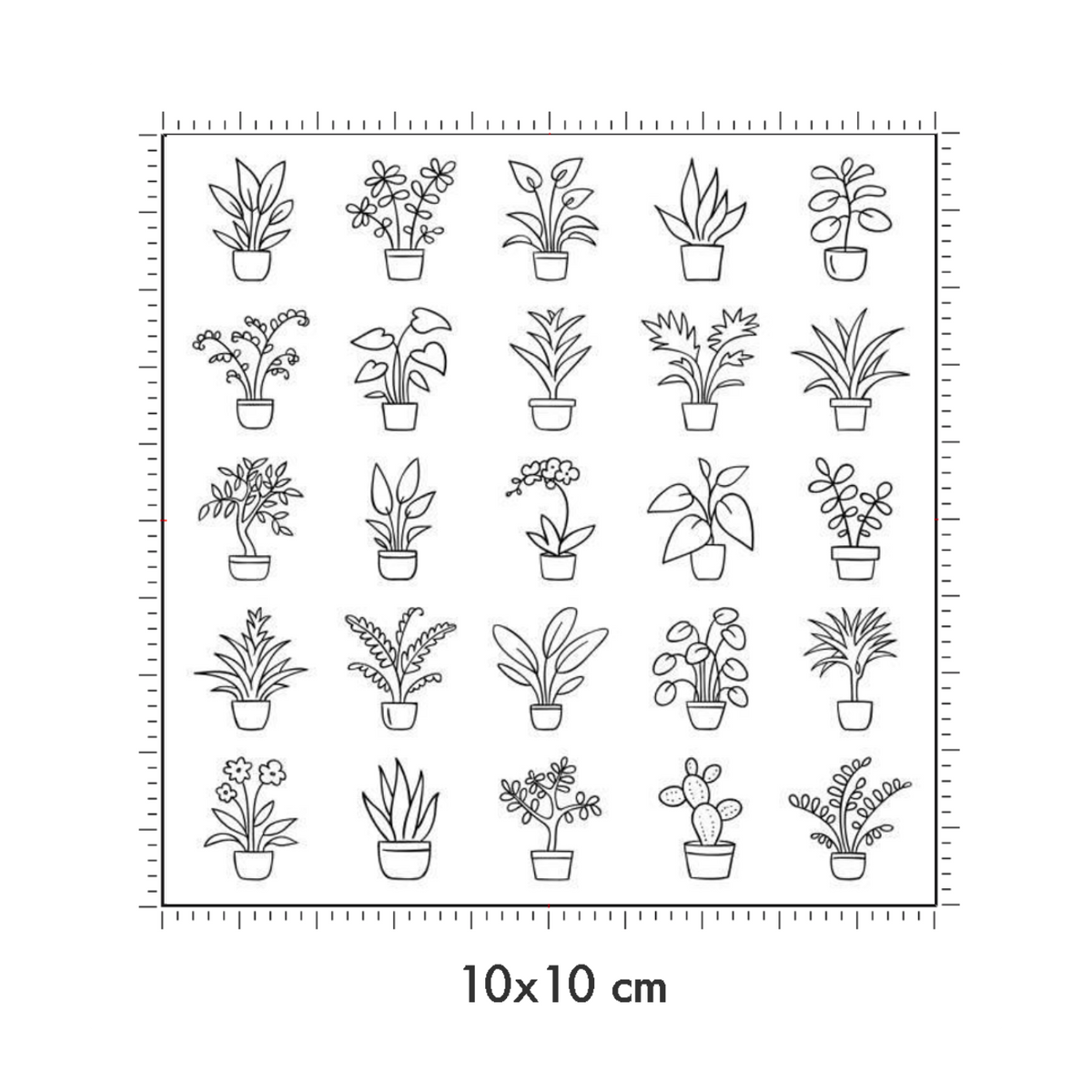 10 x 10 cm