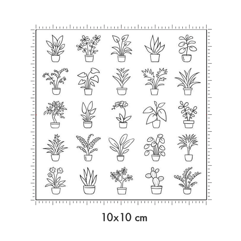 10 x 10 cm